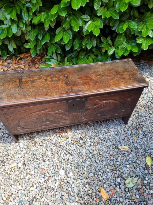 RARE L17THC ORIGINAL CARVED OAK WEST COUNTRY COFFER - ADDITIONAL PHOTO 7