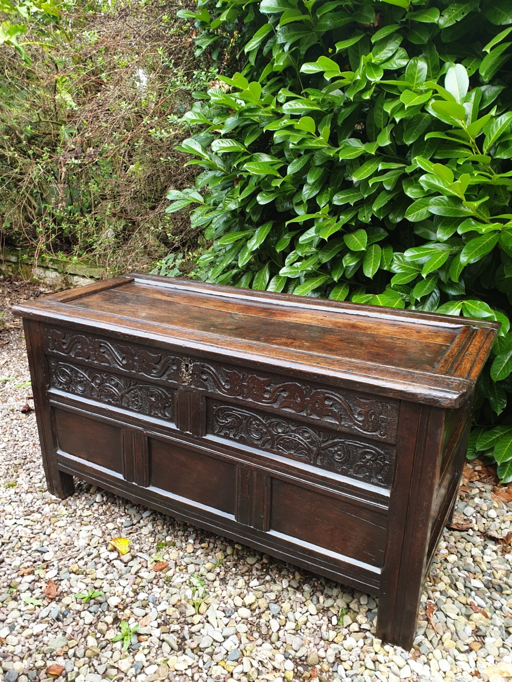 A 17TH CENTURY OAK CARVED COFFER/BOX ORIGINAL CARVING FROM THE NORTH View IV