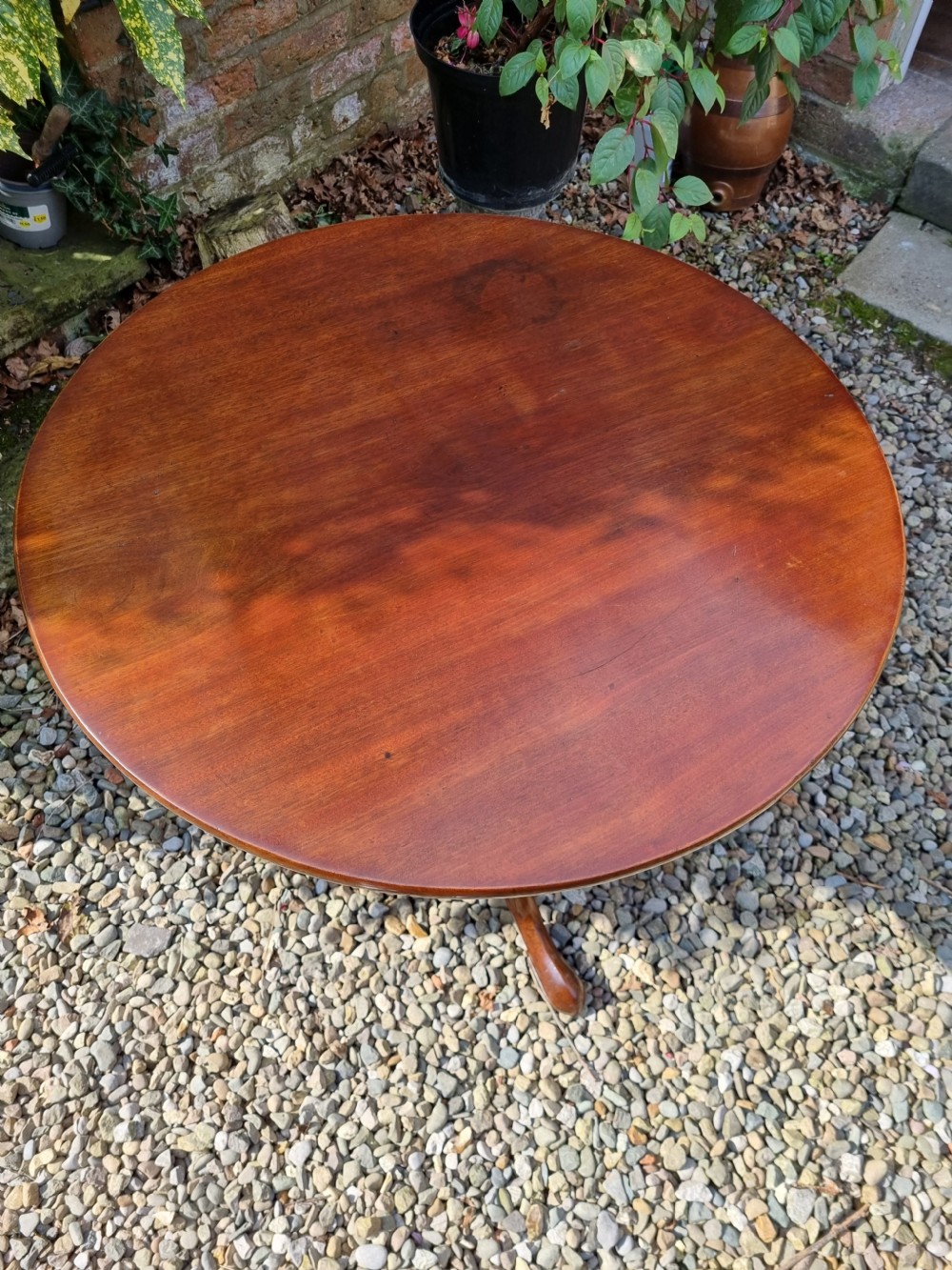 An antique Georgian circular mahogany tripod table shown tilted vertically on a turned stem with three cabriole legs. View VIII