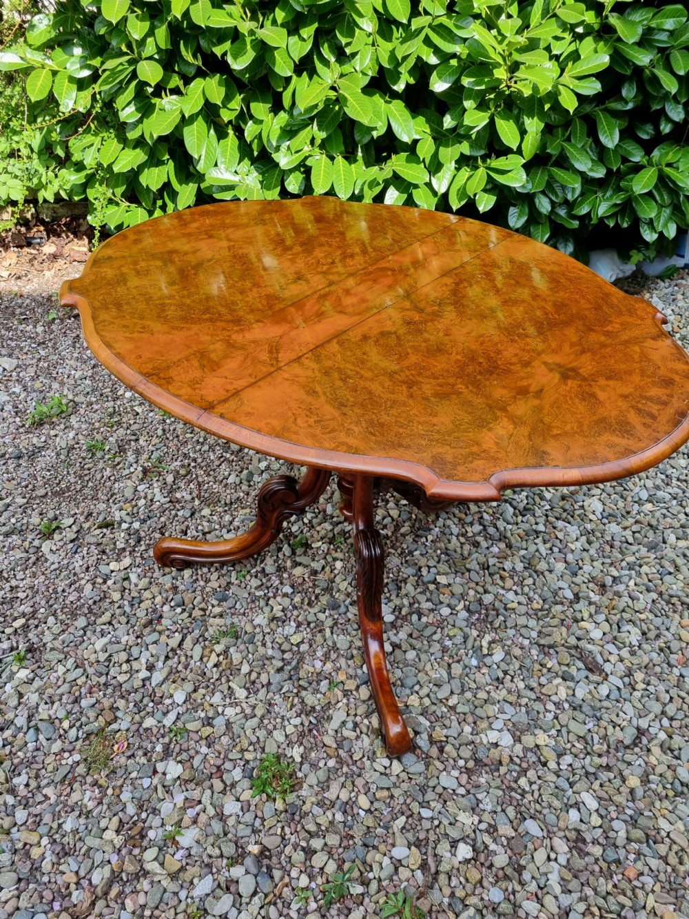 A 19th-century Victorian burr walnut drop-leaf occasional table with carved cabriole legs and scroll feet. View II