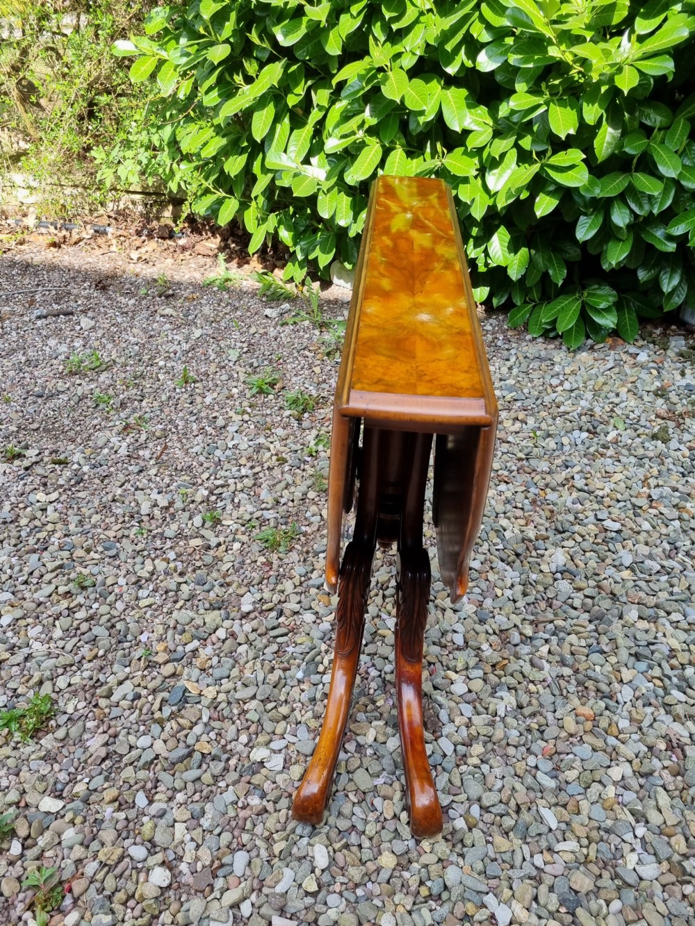 A 19th-century Victorian burr walnut drop-leaf occasional table with carved cabriole legs and scroll feet. View III
