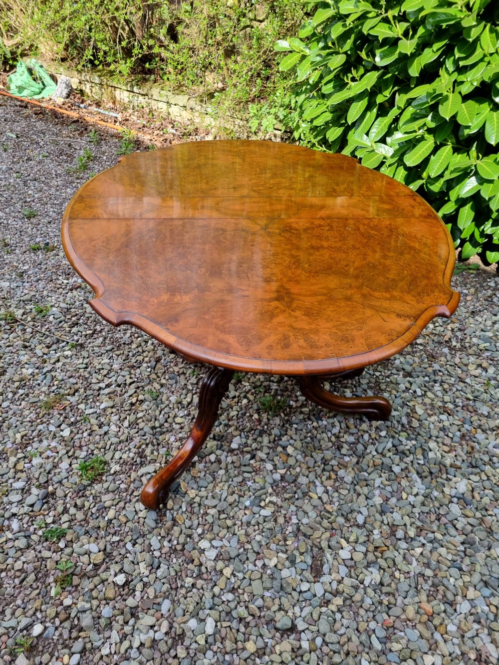A 19th-century Victorian burr walnut drop-leaf occasional table with carved cabriole legs and scroll feet. View VII