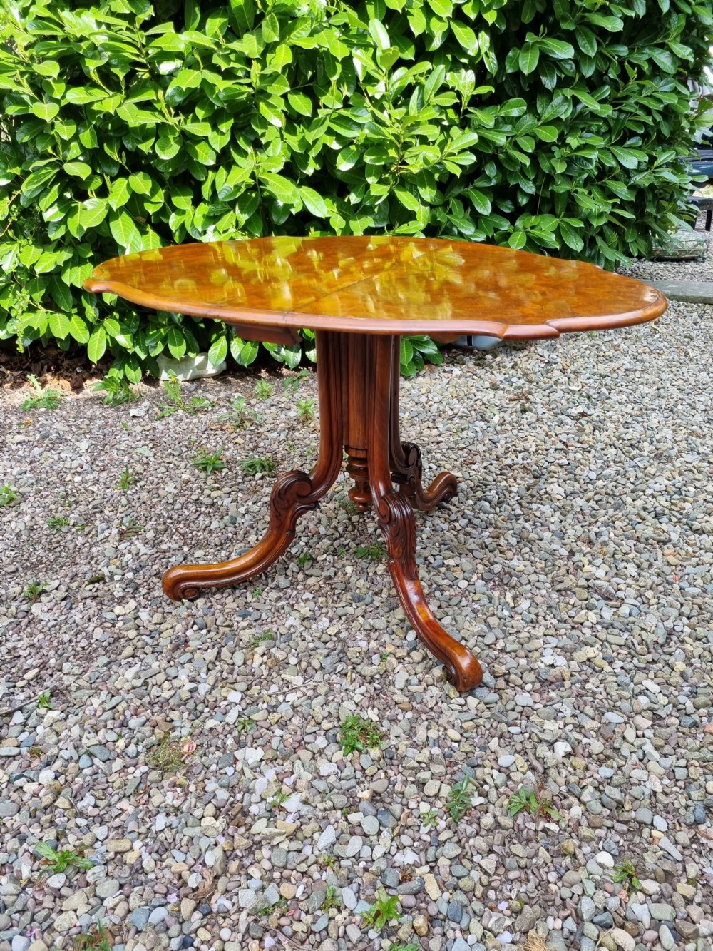 A 19th-century Victorian burr walnut drop-leaf occasional table with carved cabriole legs and scroll feet. View VIII
