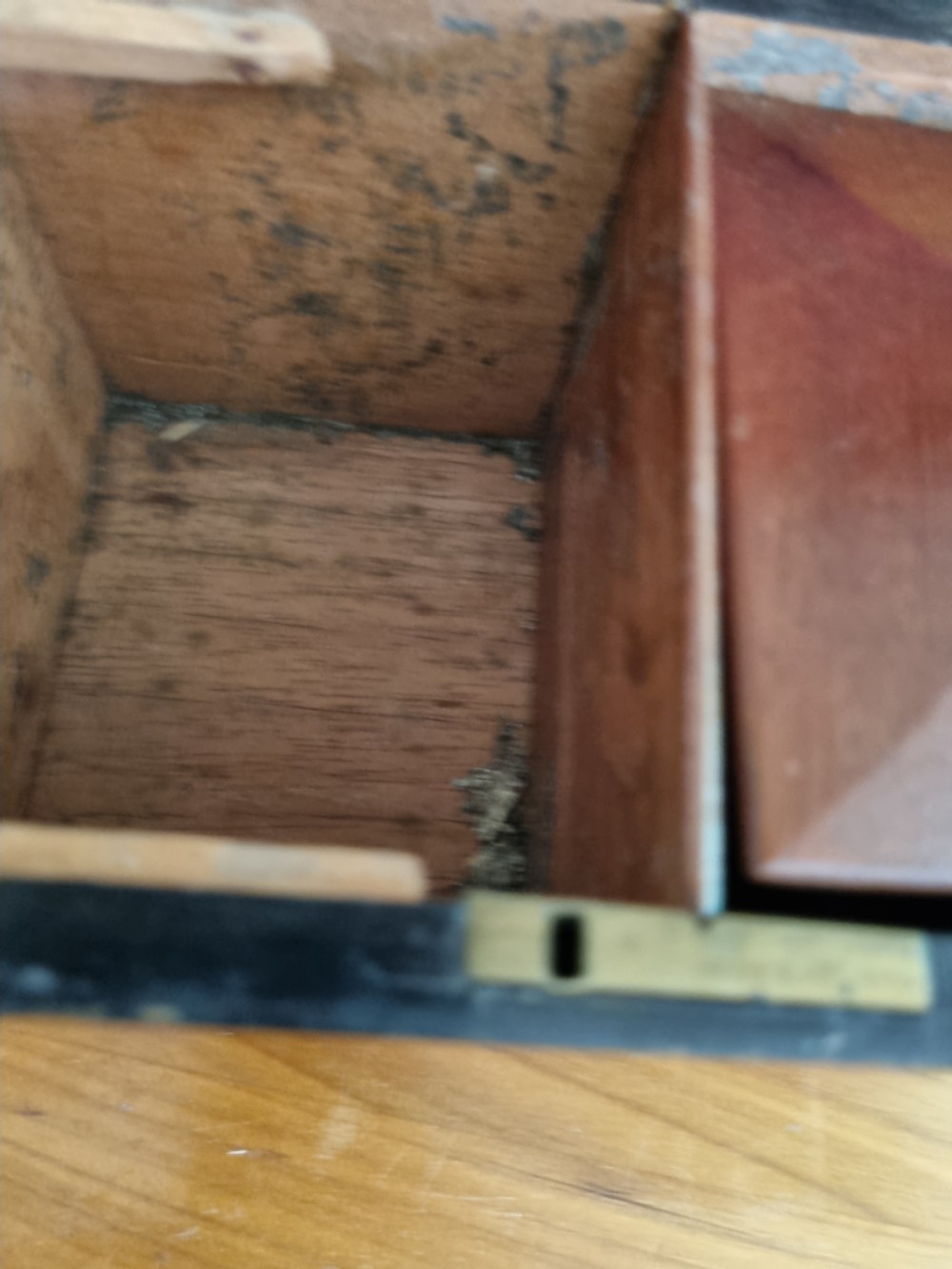 GEORGIAN BIRDS EYE MAPLE AND ROSEWOOD BANDED TEA CADDY View VI