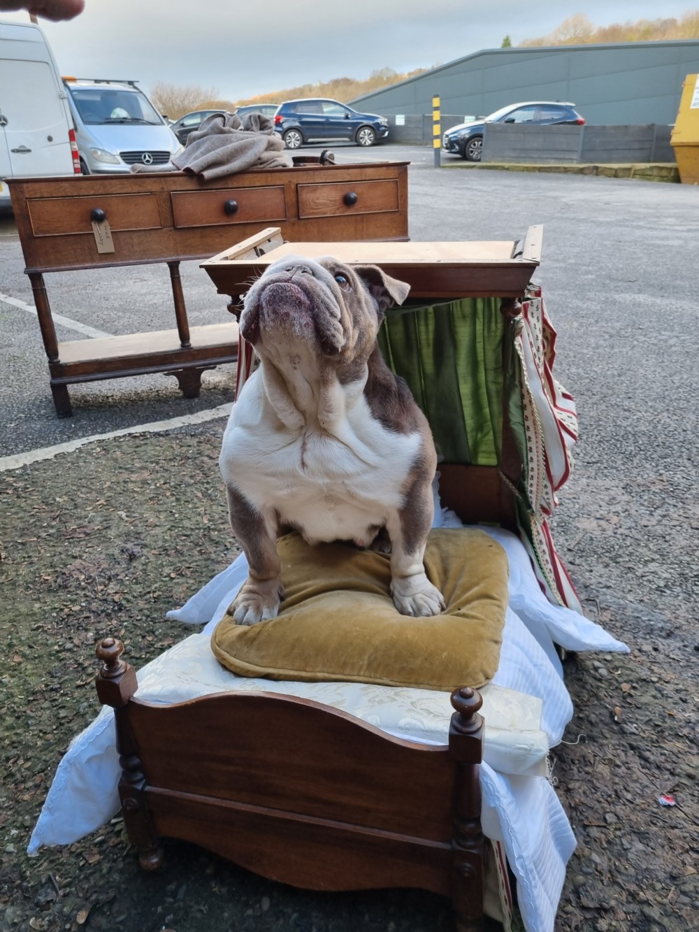 AN UNIQUE 19THC MAHOGANY HALF TESTER BED FOR A  DOG/CHILD? View IV