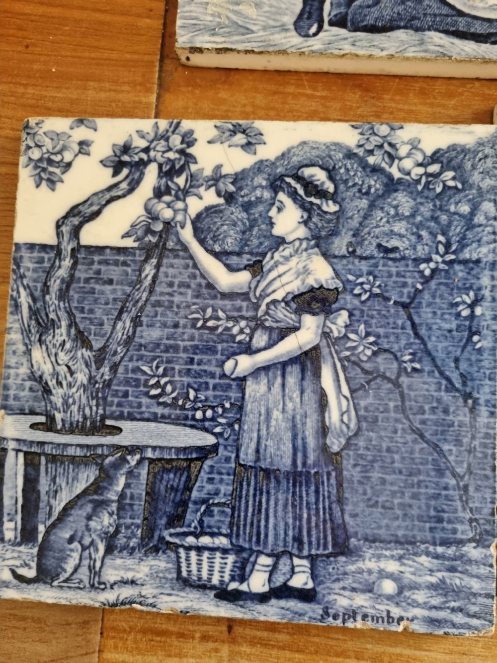 11 MONTHS OF THE YEAR WEDGWOOD BLUE AND WHITE AESTHETIC TILES . View IX