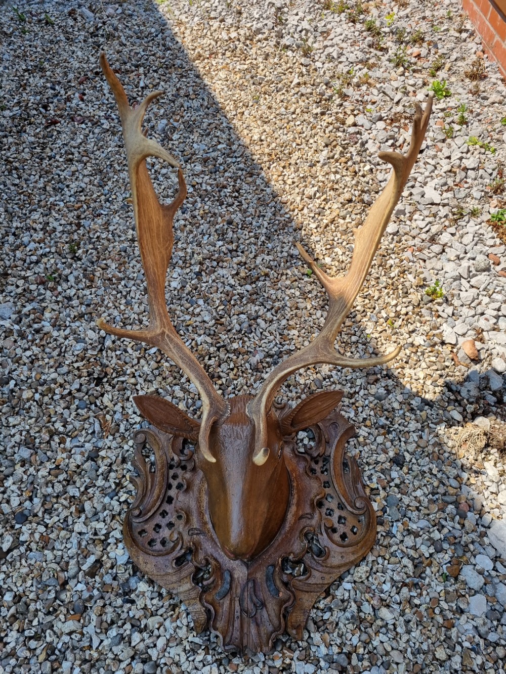 FABULOUS CARVED WOOD STAGS HEAD WITH ANTLERS. View III