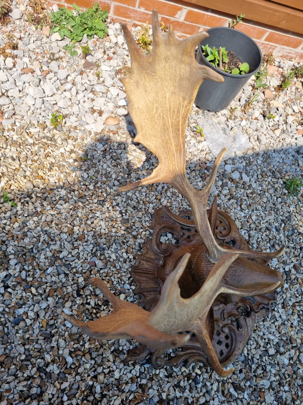 FABULOUS CARVED WOOD STAGS HEAD WITH ANTLERS. View VII