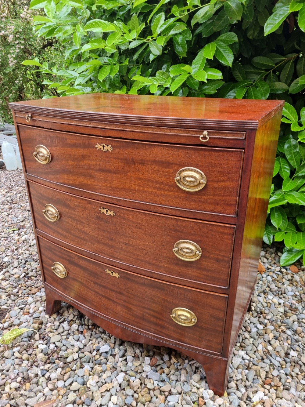SMALL GEORGIAN  MAHOGANY BOW FRONT CHEST OF DRAWERS View VI