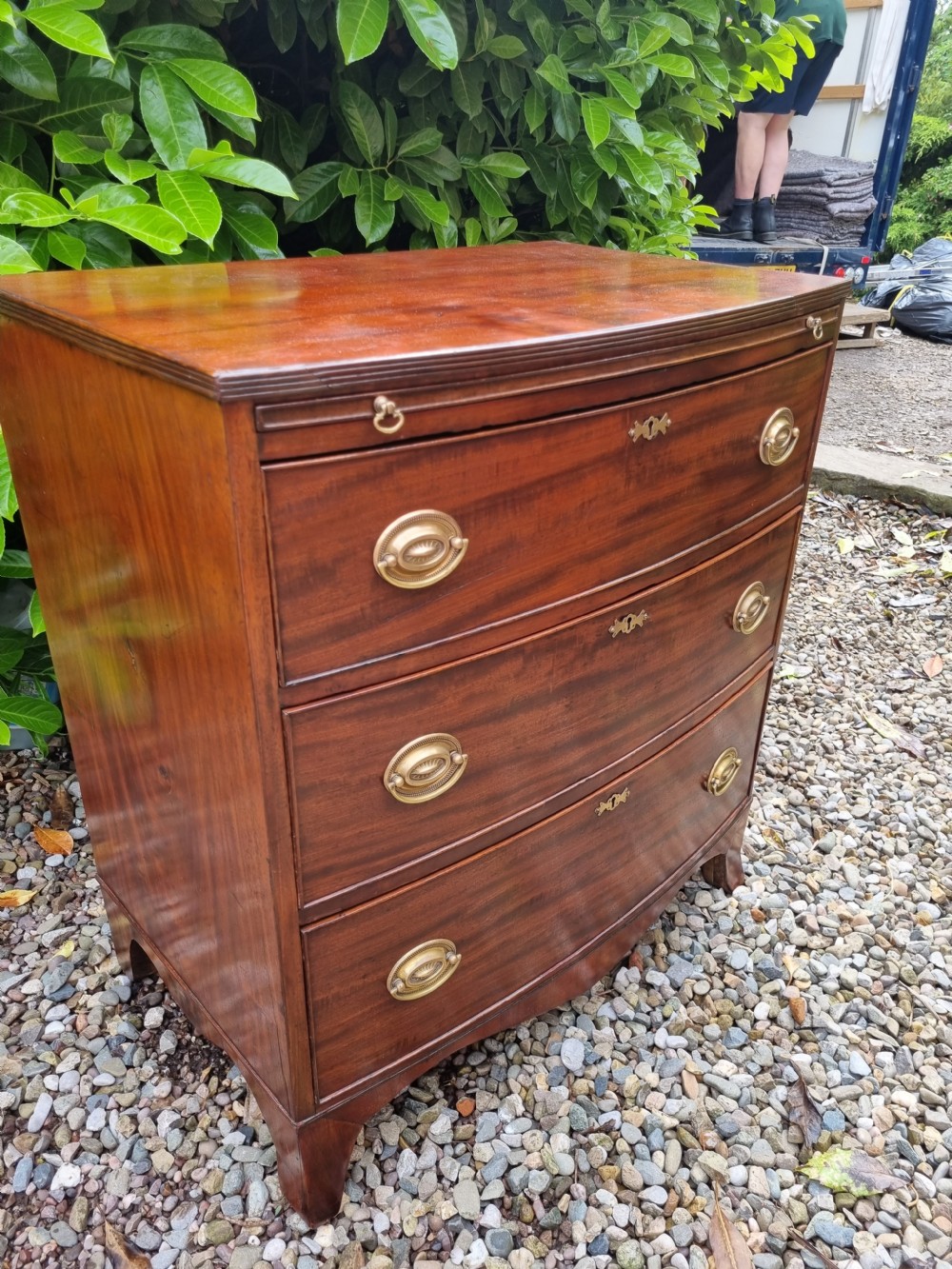 SMALL GEORGIAN  MAHOGANY BOW FRONT CHEST OF DRAWERS View VIII