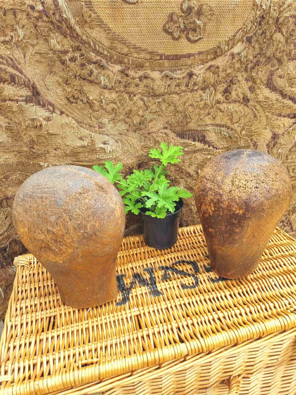 2 ANTIQUE MILLINERS WOODEN HEADS  LARGE