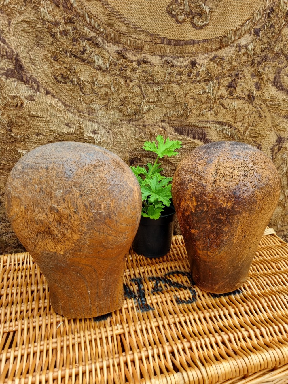 2 ANTIQUE MILLINERS WOODEN HEADS  LARGE View IV