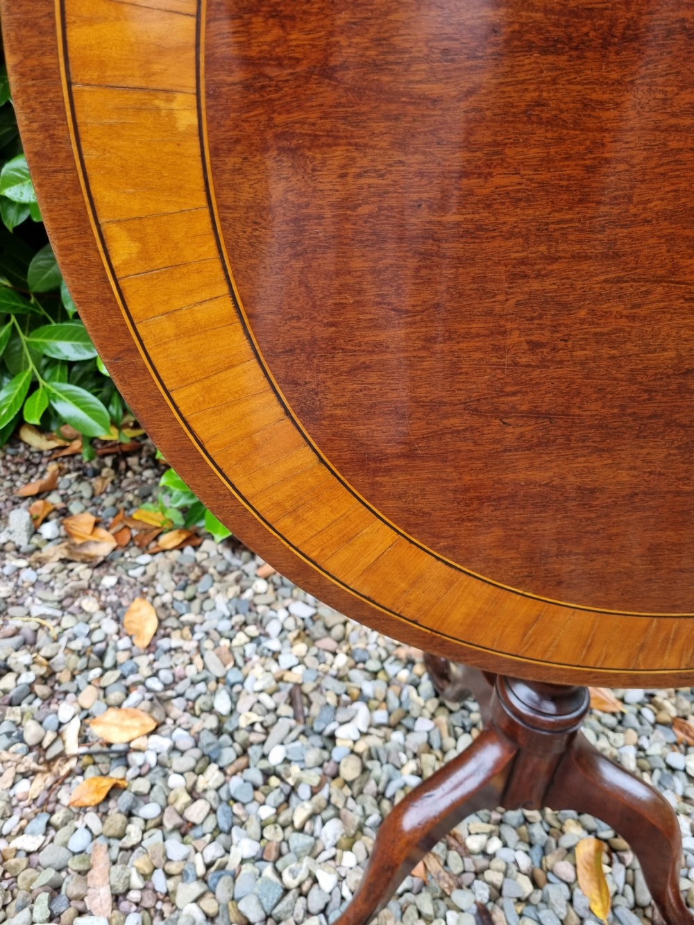 GEORGIAN MAHOGANY /SATINWOOD BANDED TRIPOD TABLE  View II