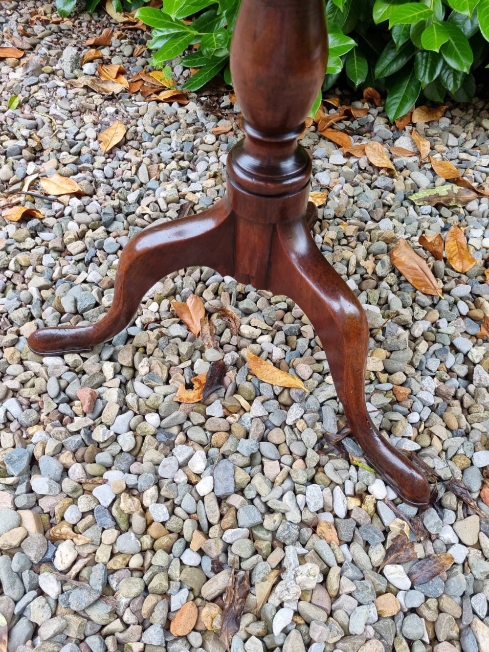 GEORGIAN MAHOGANY /SATINWOOD BANDED TRIPOD TABLE  View III