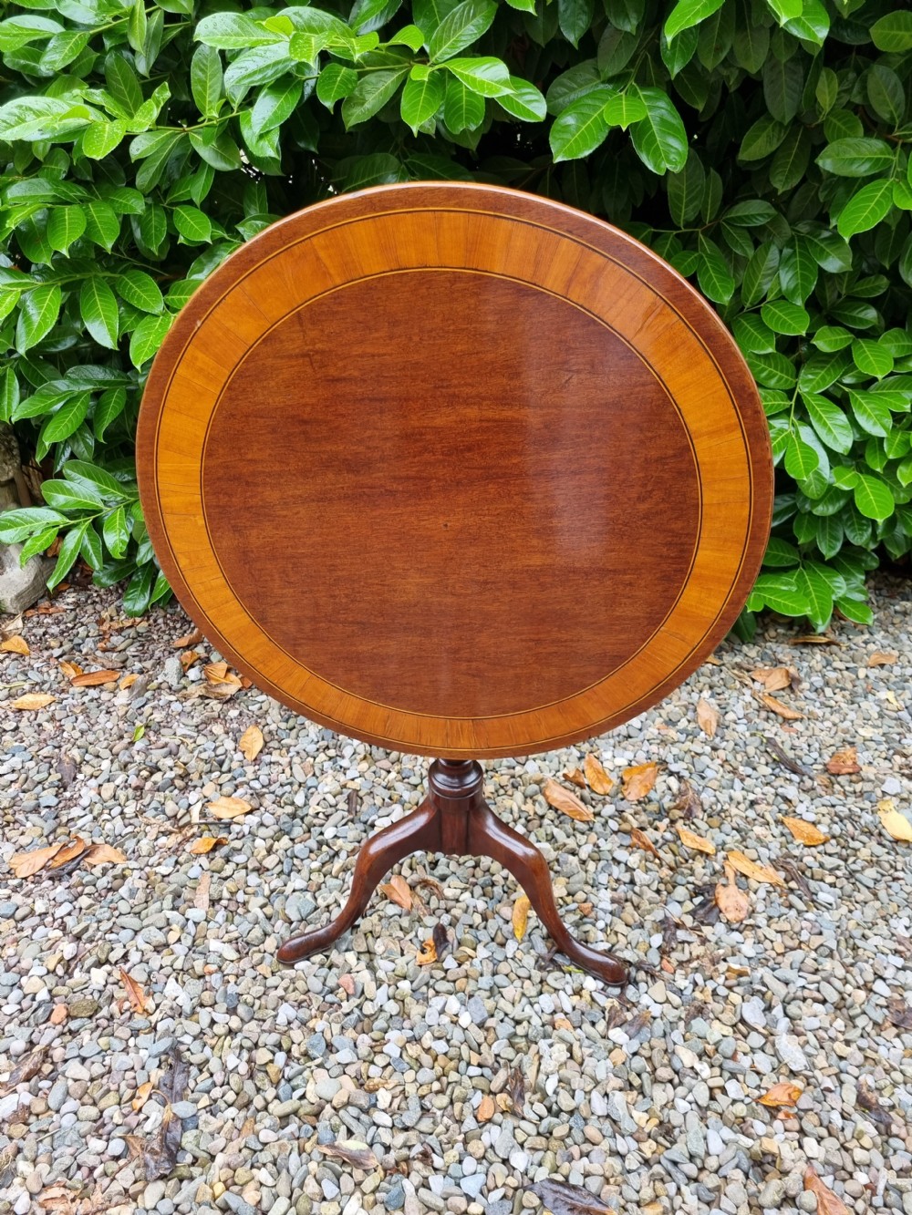 GEORGIAN MAHOGANY /SATINWOOD BANDED TRIPOD TABLE  View VII