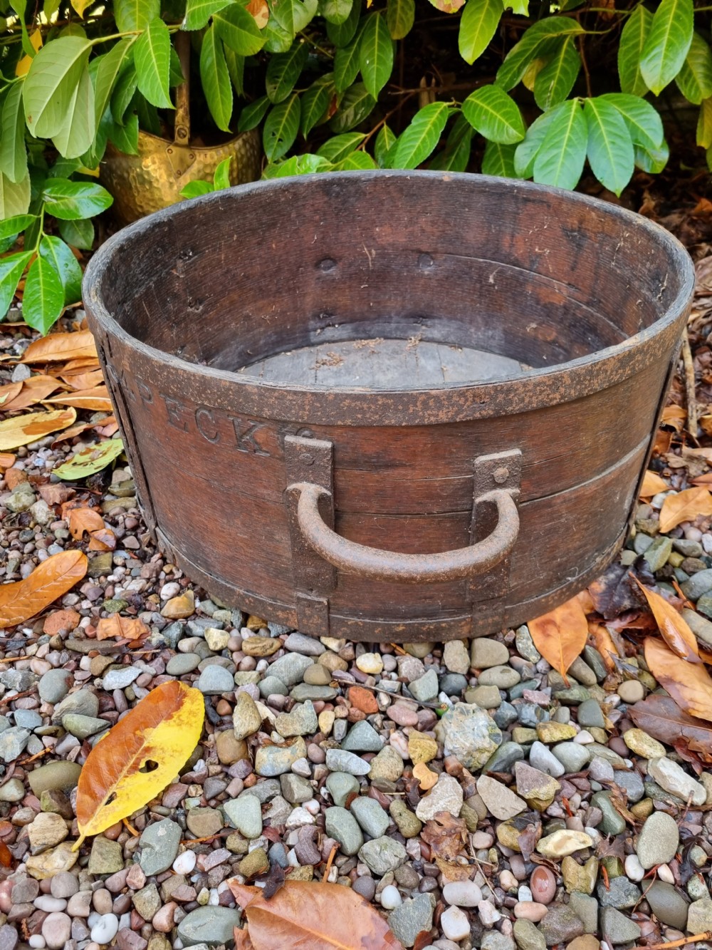 A  GENUINE ROYAL CONNECTION GEO1V C1826 4 PECK OAK MEASURE.