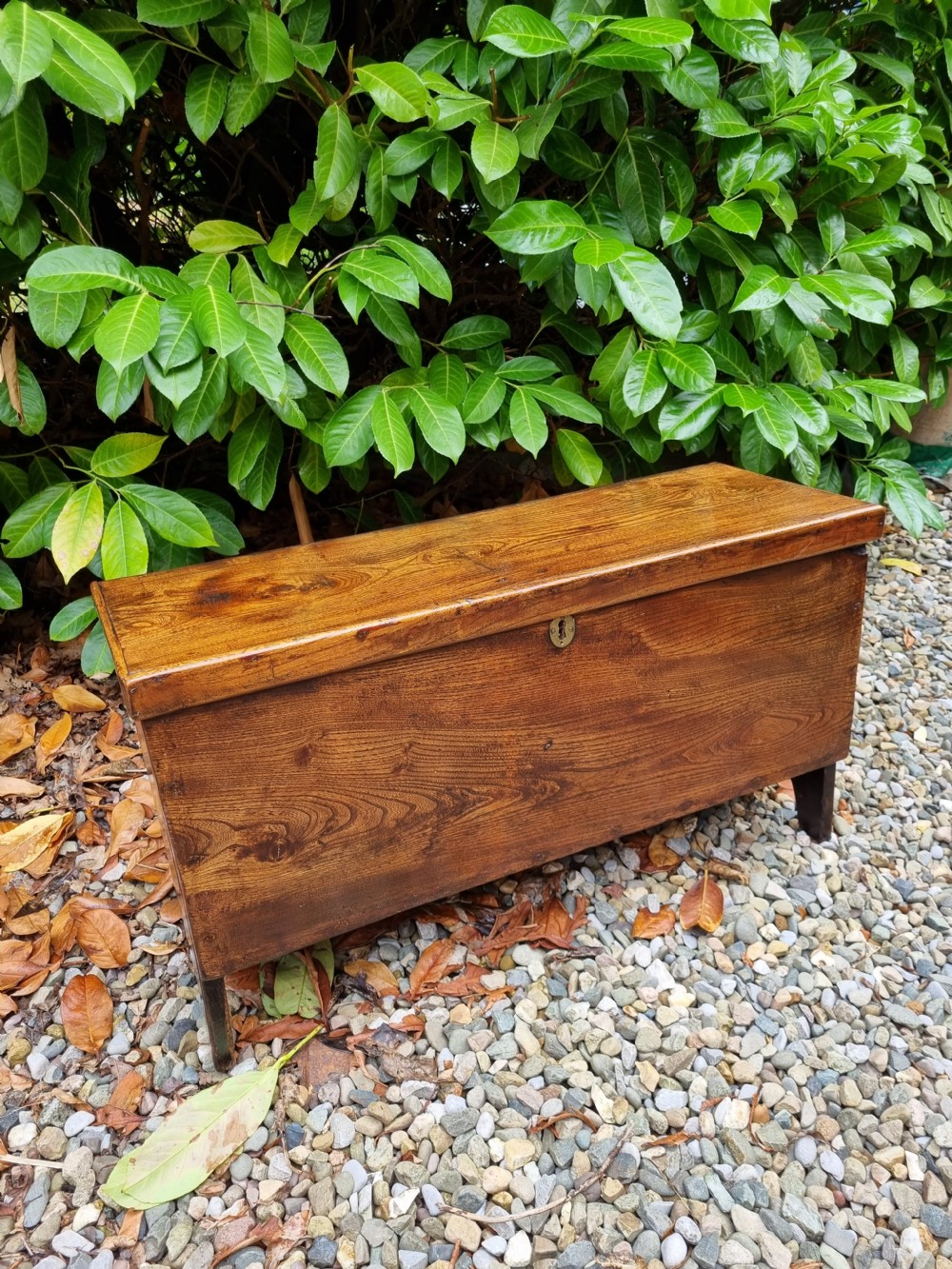 A SMALL 18THC ELM 6 PLANK COFFER /BOX View III