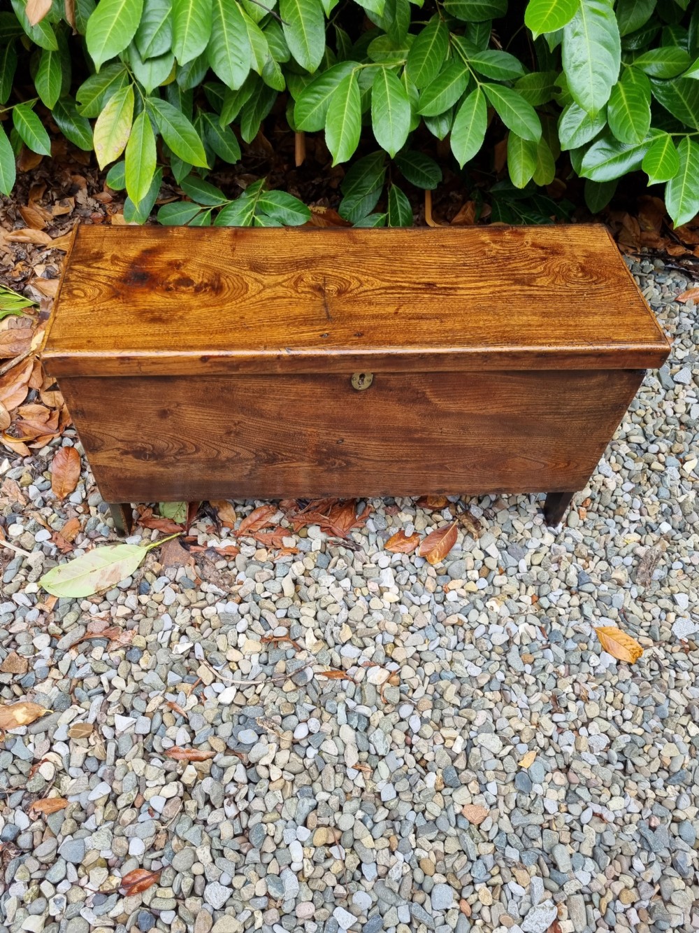 A SMALL 18THC ELM 6 PLANK COFFER /BOX View VIII