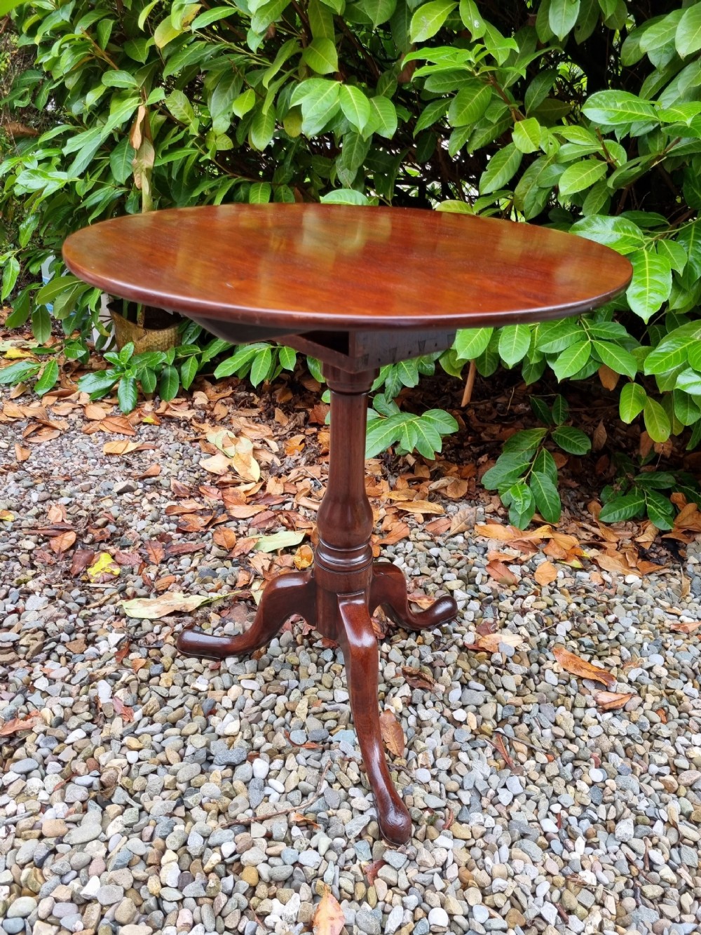 GEORGIAN MAHOGANY 