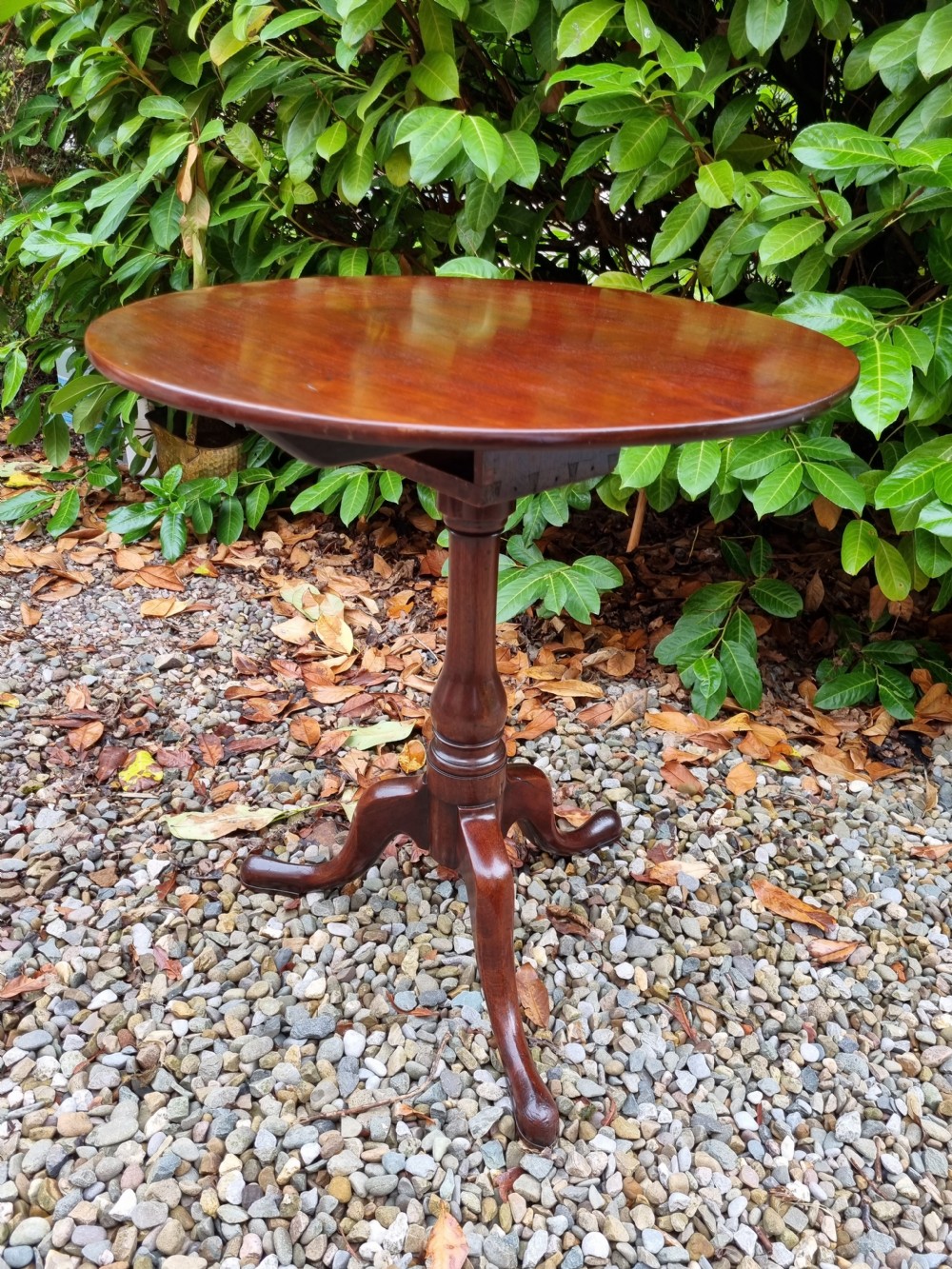 GEORGIAN MAHOGANY 