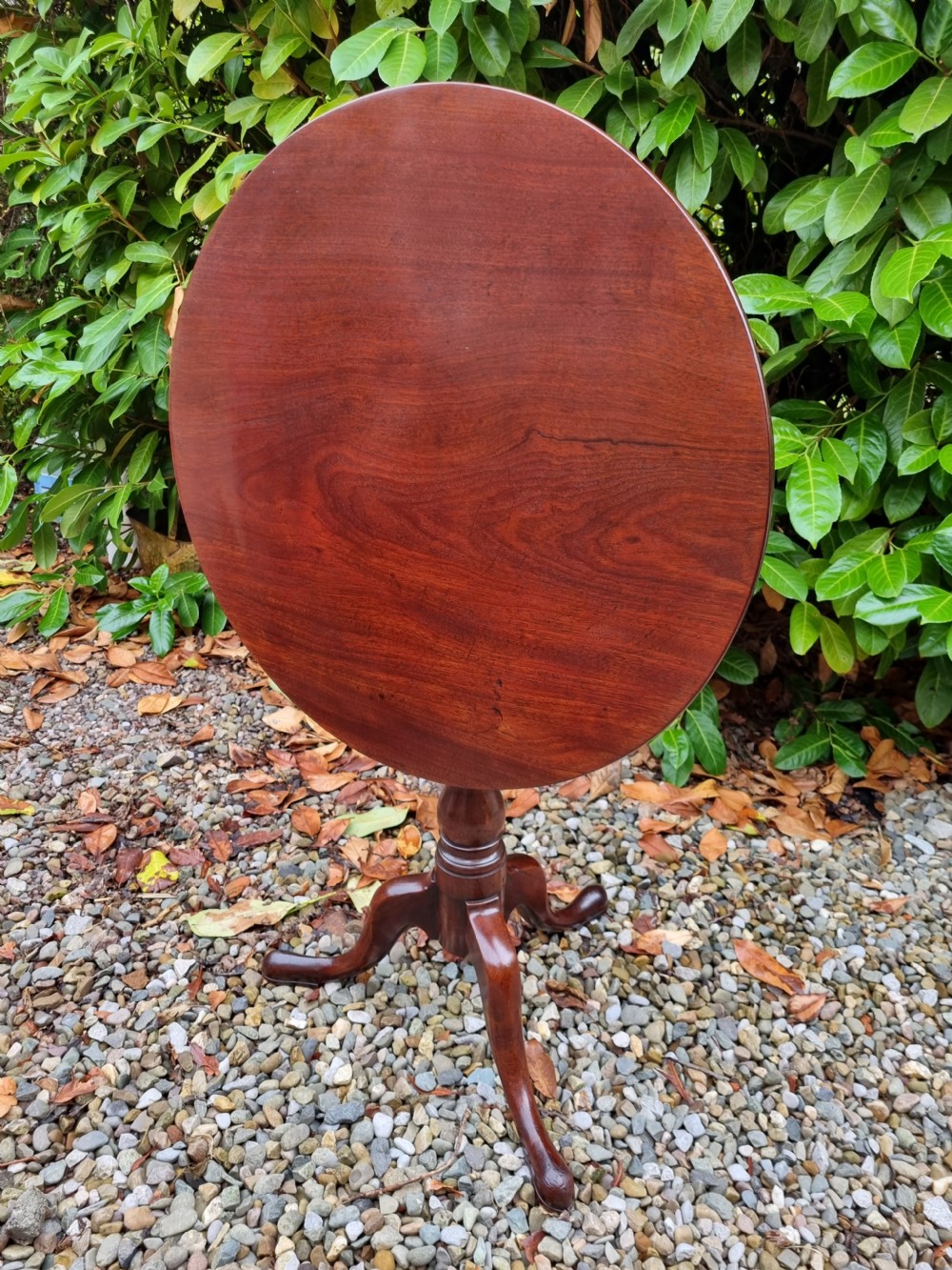 GEORGIAN MAHOGANY 