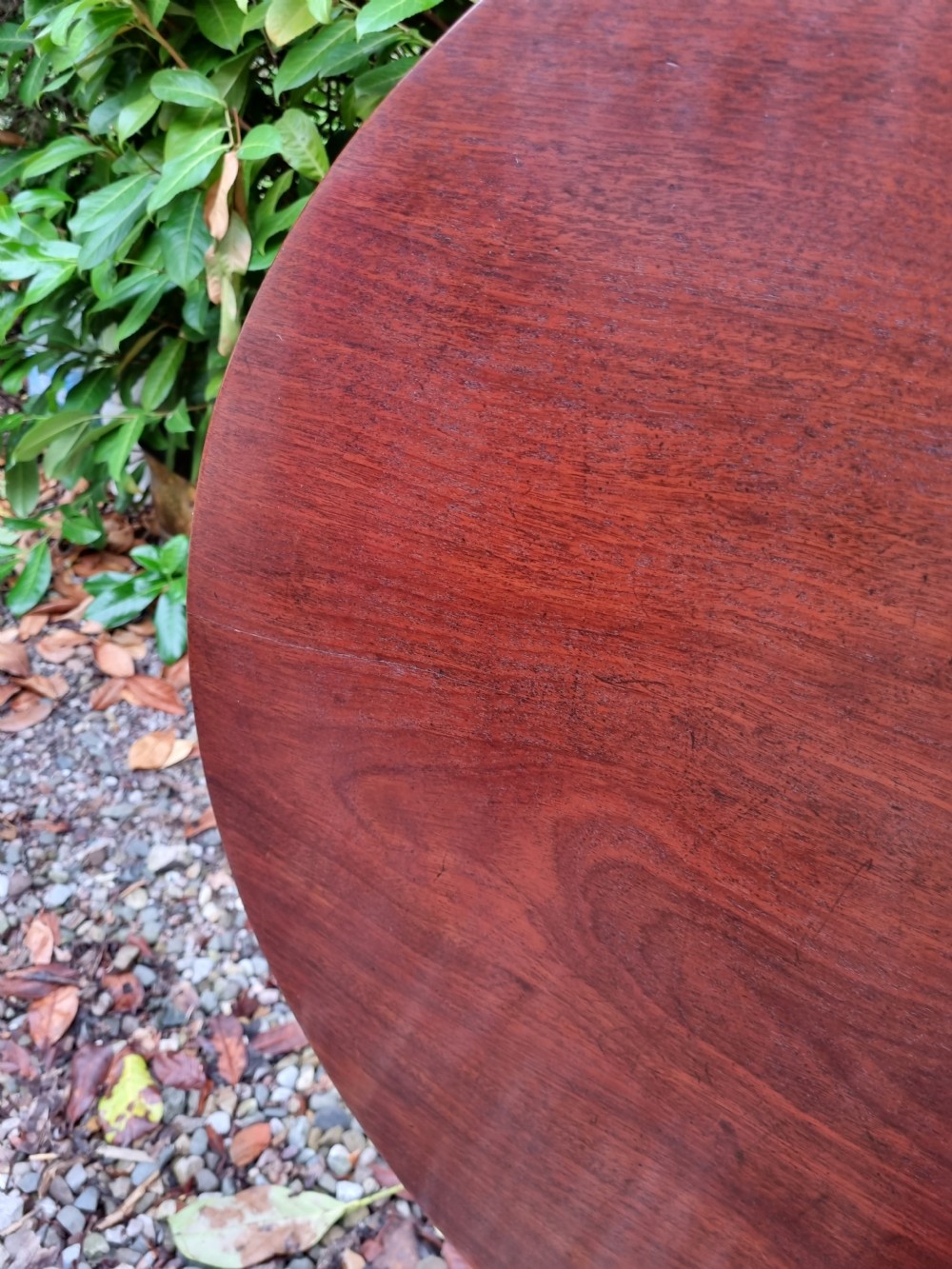GEORGIAN MAHOGANY 