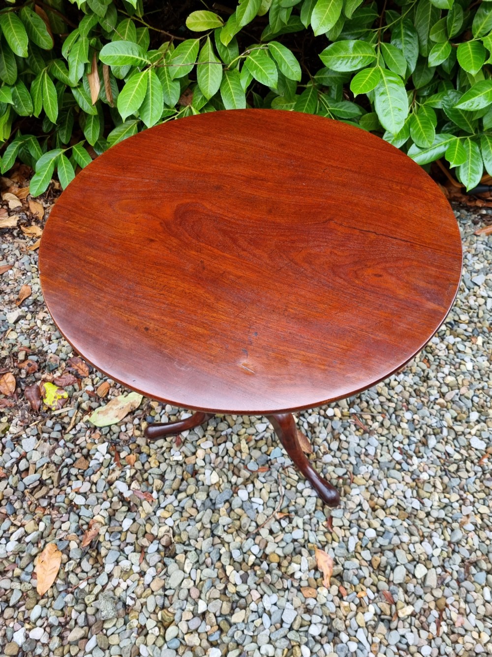 GEORGIAN MAHOGANY 