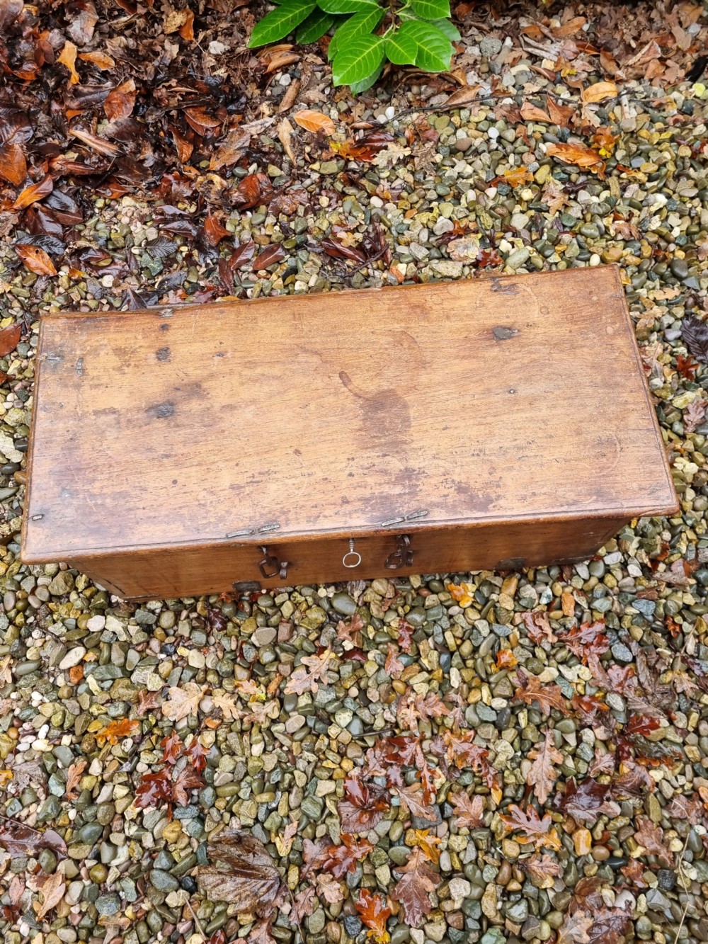 A SMALL L17THC/E18THC FRUITWOOD BOX POSSIBLY A CARRIAGE BOX  View III