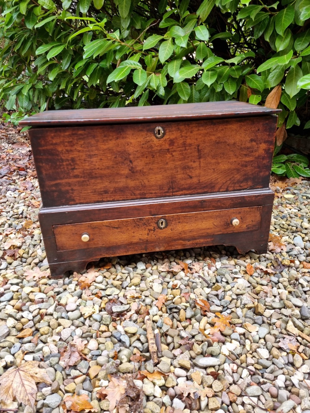 SMALL 18THC S.WALES OAK COFFR BACH (SMALL COFFER) View IV