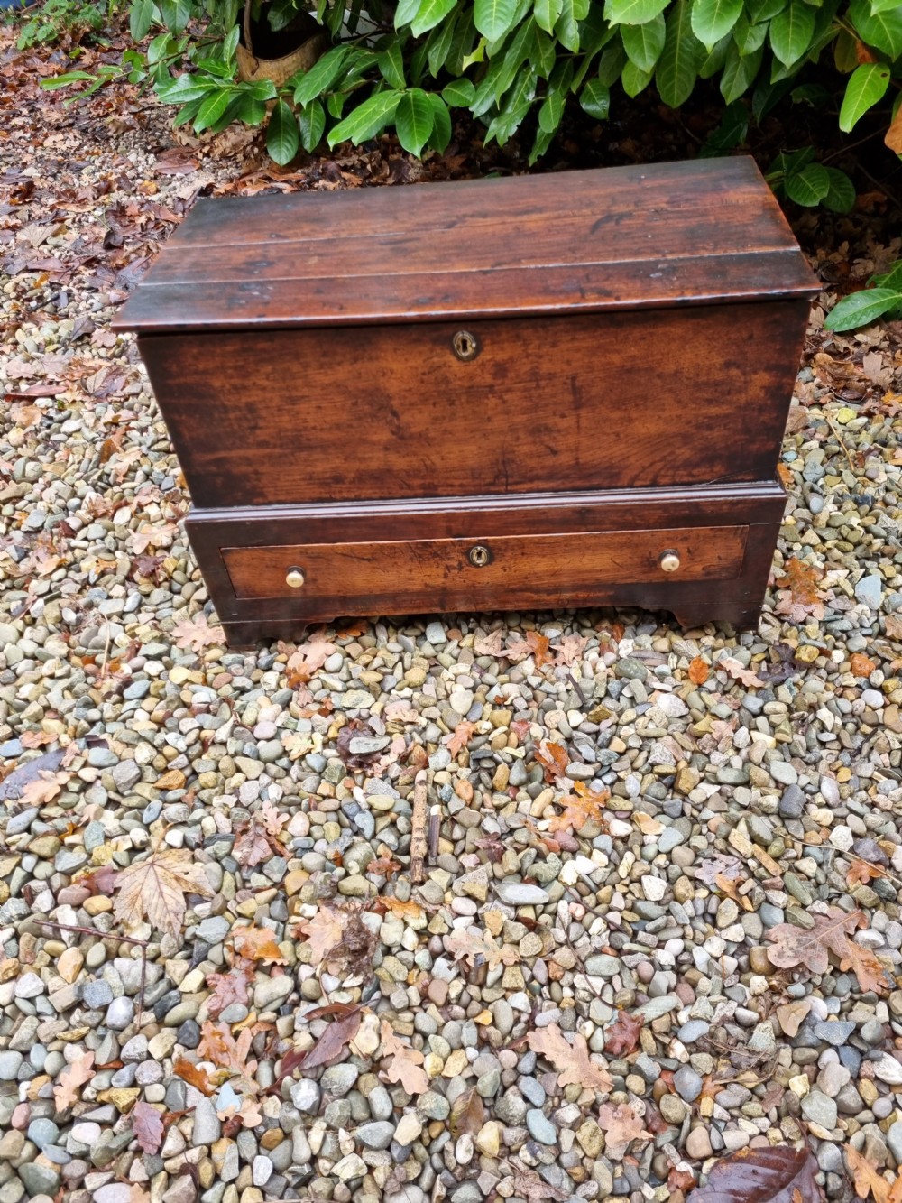 SMALL 18THC S.WALES OAK COFFR BACH (SMALL COFFER) View V