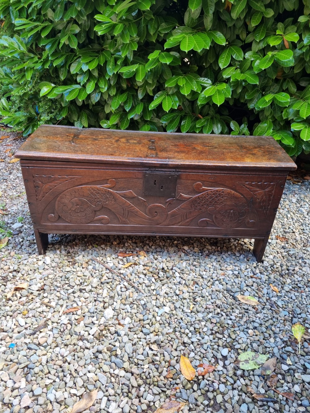 A late 17th-century dark oak coffer featuring a hinged lid, iron lockplate, and relief-carved front panel with foliate scroll motifs. View VIII