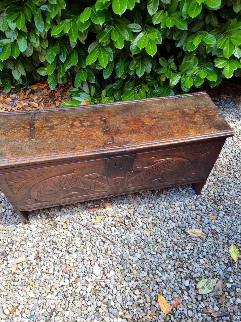 A late 17th-century dark oak coffer featuring a hinged lid, iron lockplate, and relief-carved front panel with foliate scroll motifs. View IX