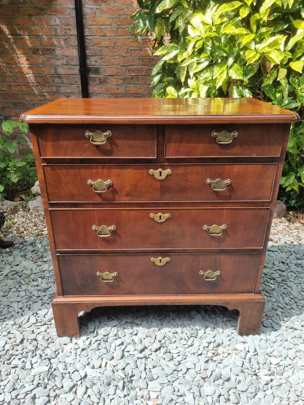 GEORGIAN SMALL MAHOGANY CHEST OF DRAWERS 