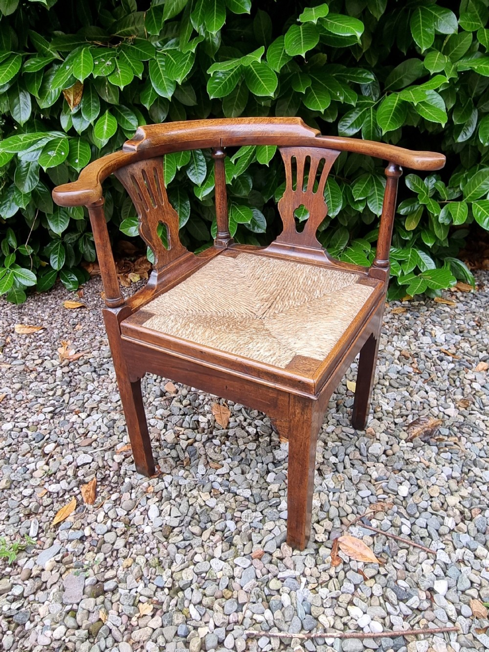 A Georgian oak corner chair featuring a curved top rail, two pierced back splats, a woven rush seat, and square legs.