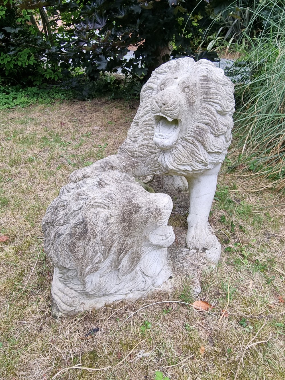 A weathered 19th-century Italian carved marble garden sculpture depicting roaring lions.