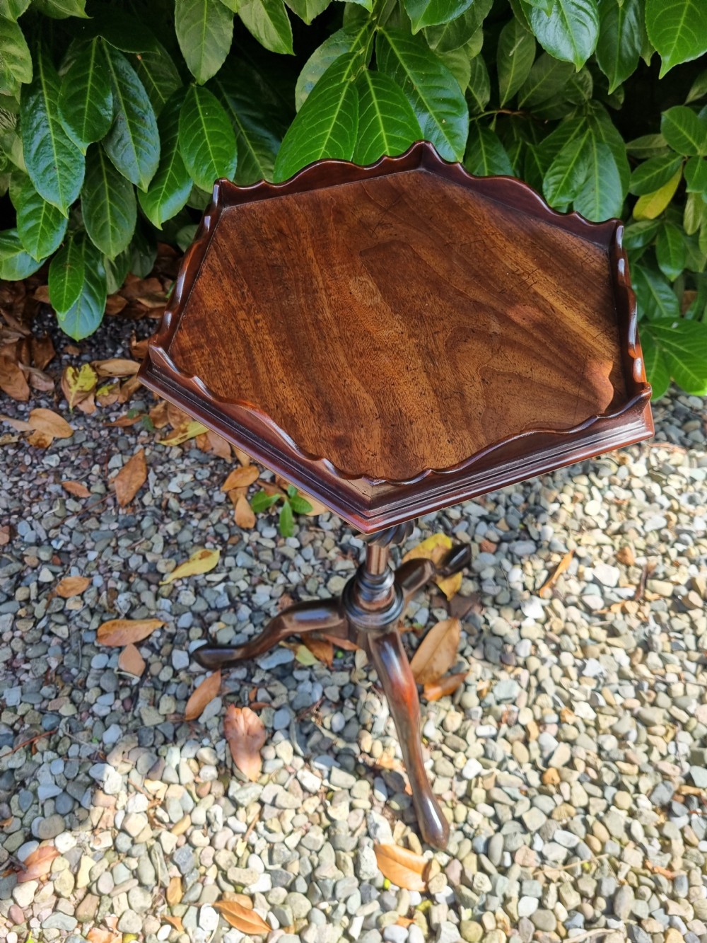  GEORGIAN MAHOGANY KETTLE/TEA STAND IN ORIGINAL CONDITION View VII