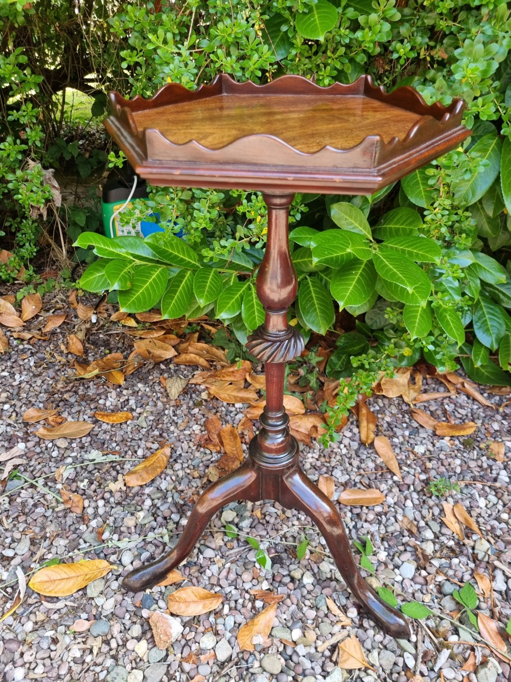  GEORGIAN MAHOGANY KETTLE/TEA STAND IN ORIGINAL CONDITION View IX