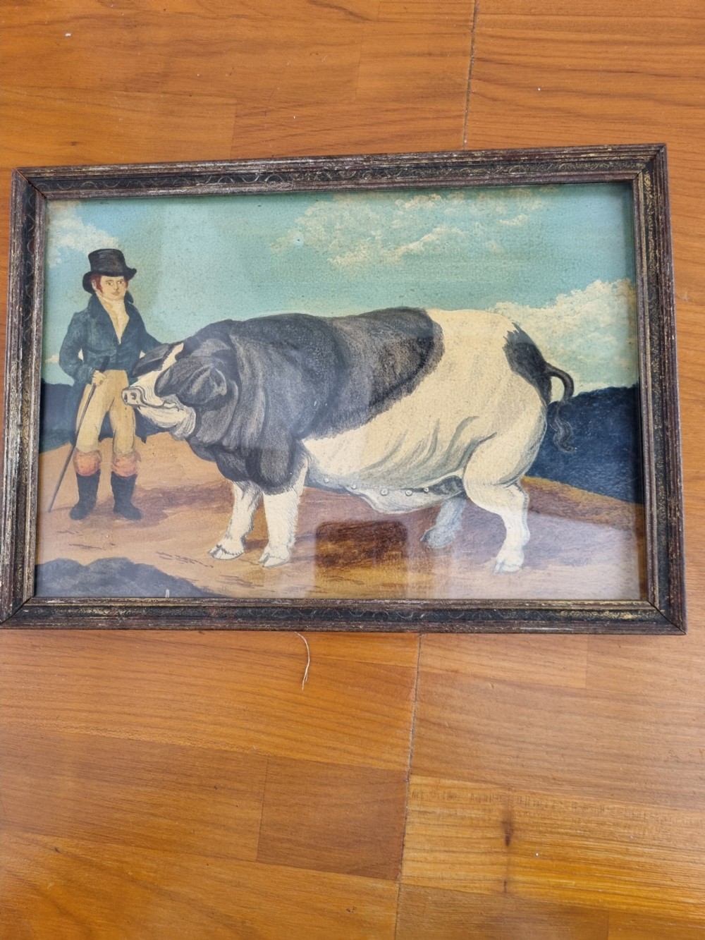 19THC NAIVE OIL PAINTING OF A PRIZE PIG View IV
