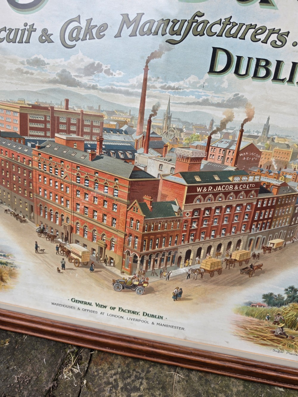 ADVERTISING POSTER 19THC FOR V&R JACOBS AND CO DUBLIN LARGE. View II