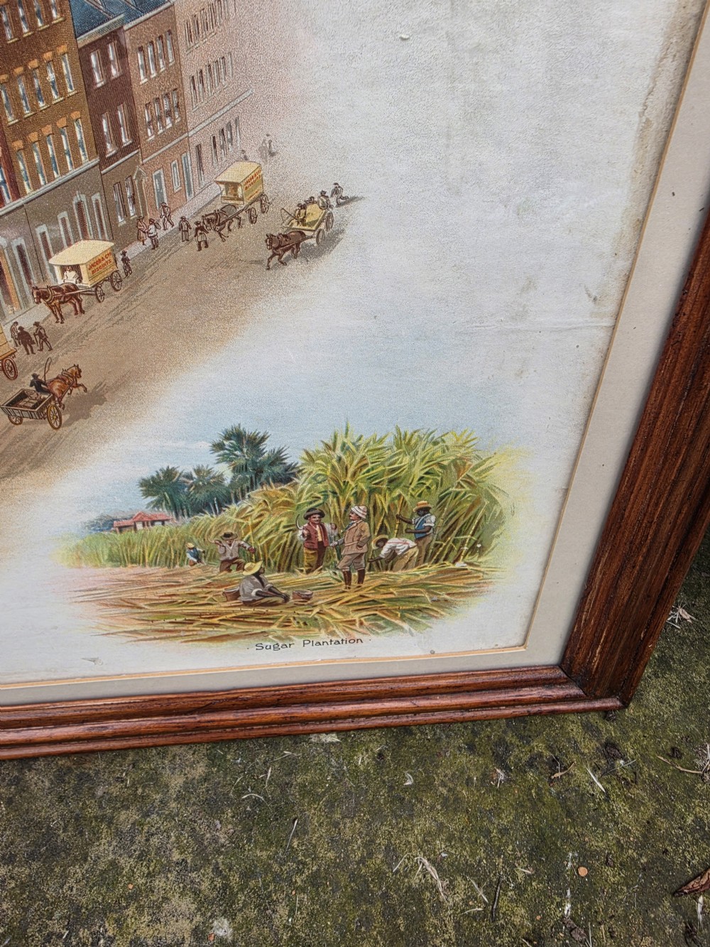 ADVERTISING POSTER 19THC FOR V&R JACOBS AND CO DUBLIN LARGE. View III