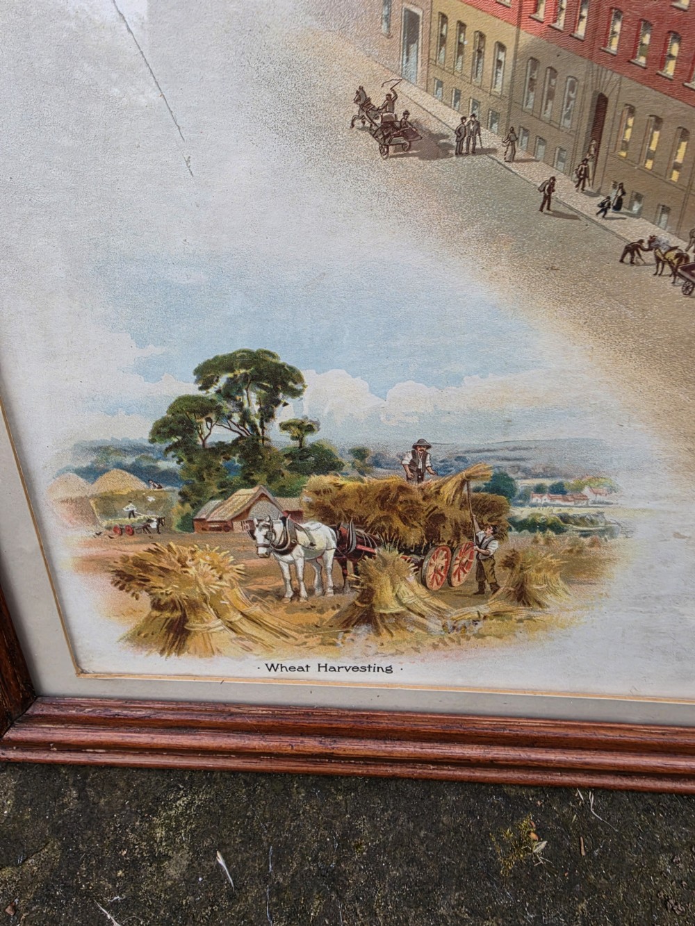 ADVERTISING POSTER 19THC FOR V&R JACOBS AND CO DUBLIN LARGE. View IV