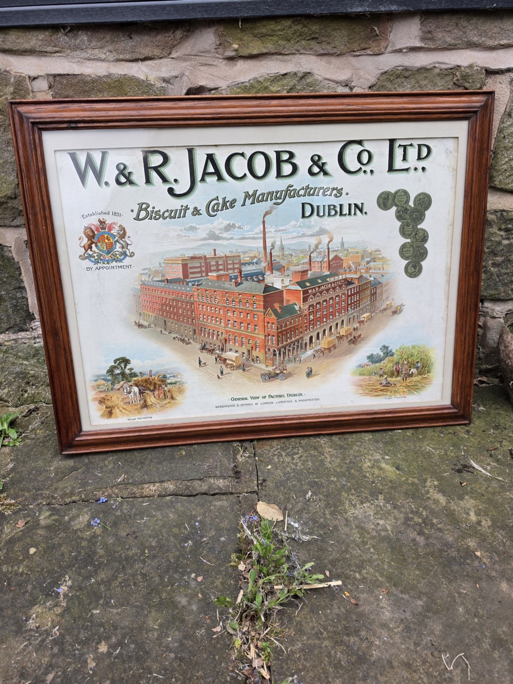 ADVERTISING POSTER 19THC FOR V&R JACOBS AND CO DUBLIN LARGE. View VII