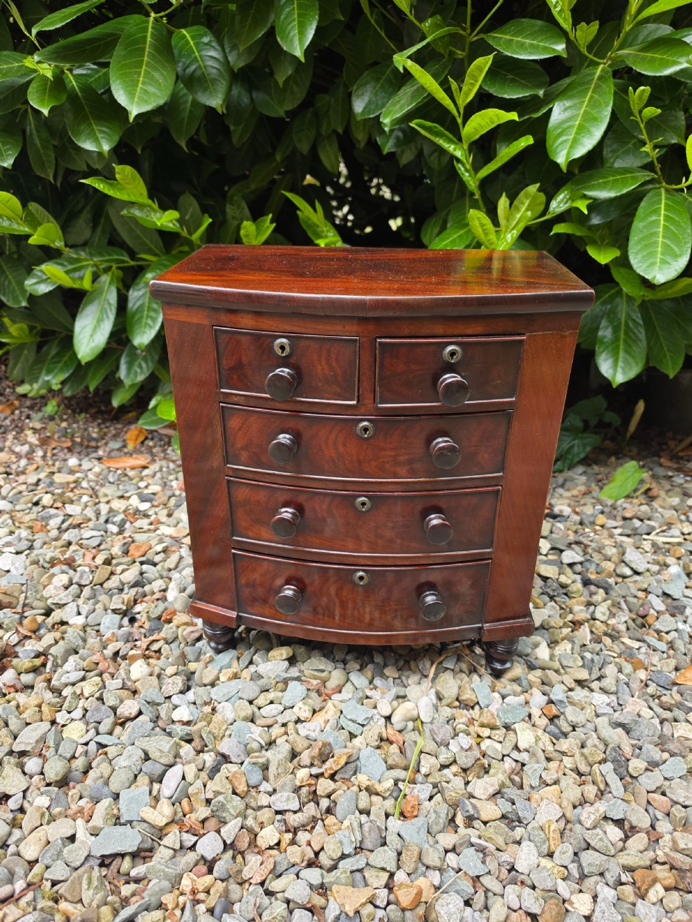 A SUPERB 19THC MAHOGANY MINATURE CHEST 