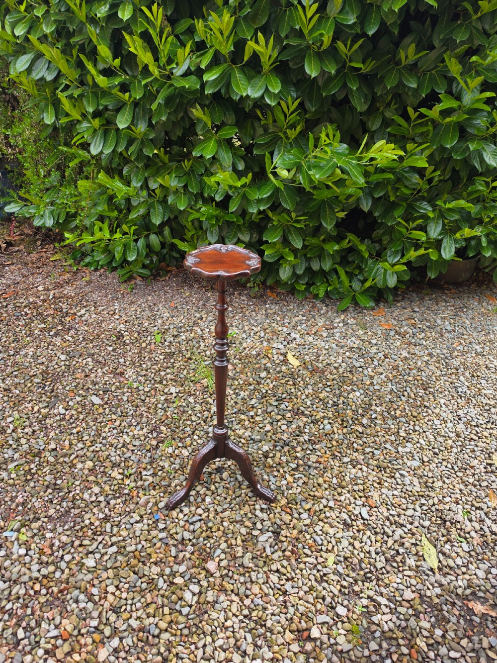 An Edwardian dark mahogany torchere stand featuring a carved piecrust top, turned stem, and tripod cabriole legs.