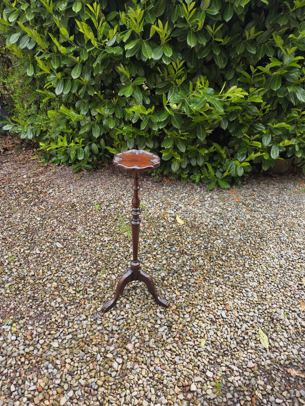 An Edwardian dark mahogany torchere stand featuring a carved piecrust top, turned stem, and tripod cabriole legs. View IV