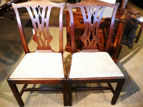 Pair Georgian Mahogany  Chairs