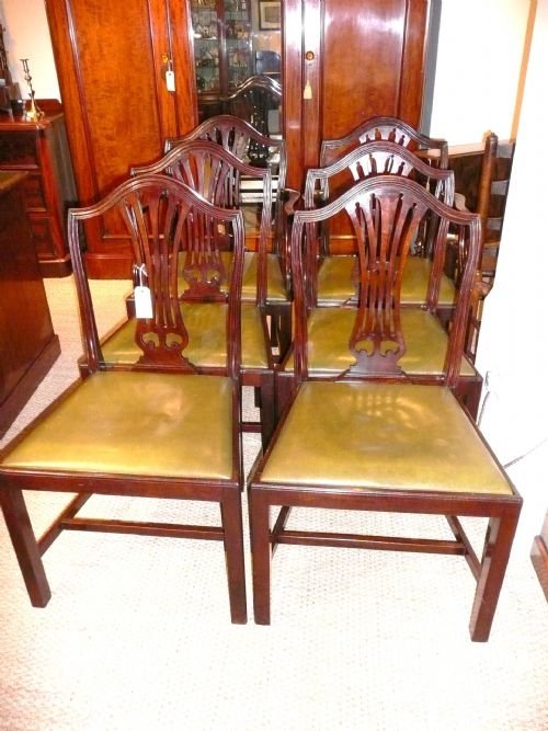 Set of 6 Mahogany Chairs Chairs