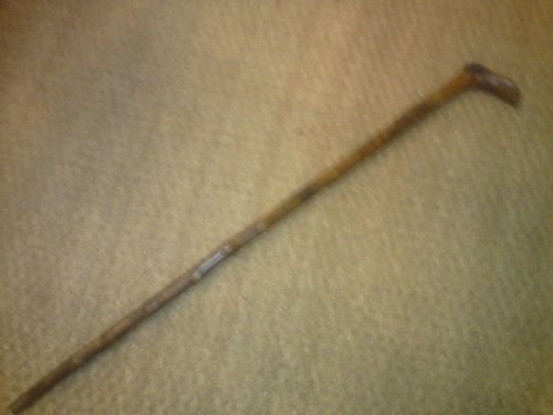 Walking Stick with ' Foot ' as Handle