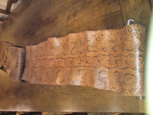 Python Skin