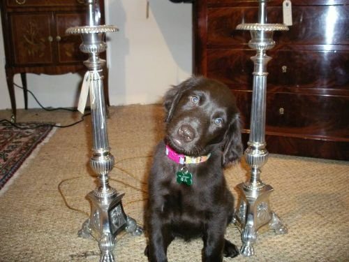 Pair of Silver Plated Lamps